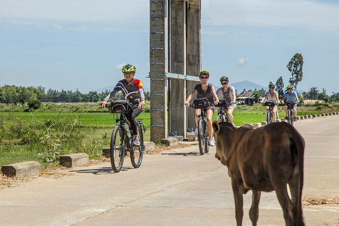 Hoi An Morning Countryside Tour by Bike - What makes this Hoi An bike tour worth considering