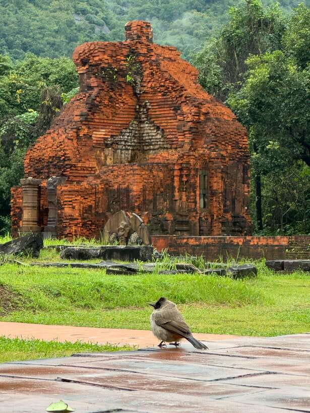 Hoi An: My Son Sanctuary Private Tour with Local Guide - Meeting a guide with local roots