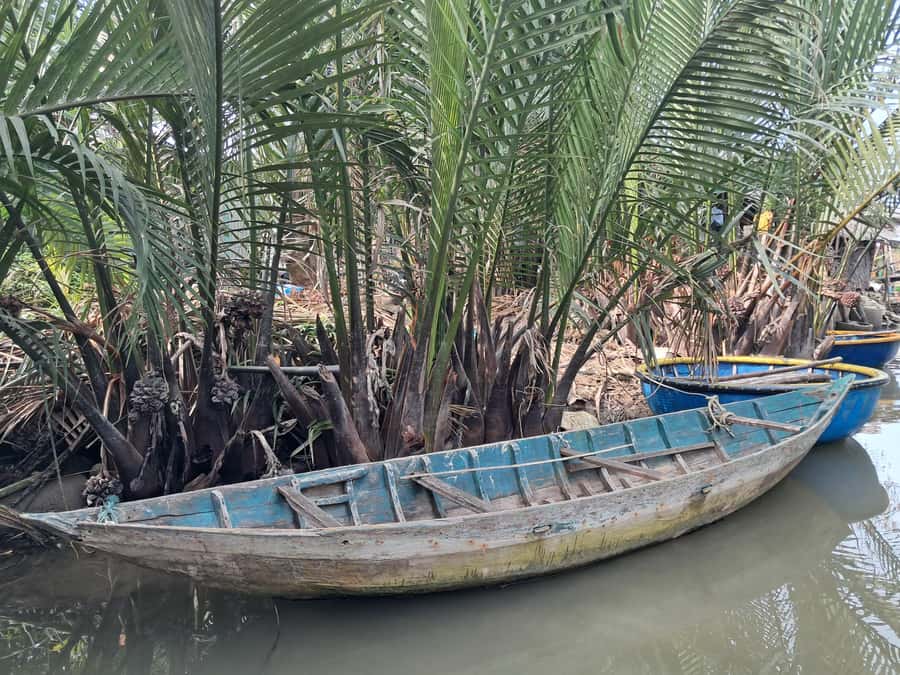 Hoi An: My Son Sanctuary with Basket Boat and Lunch Options - Price, inclusions, and the real value