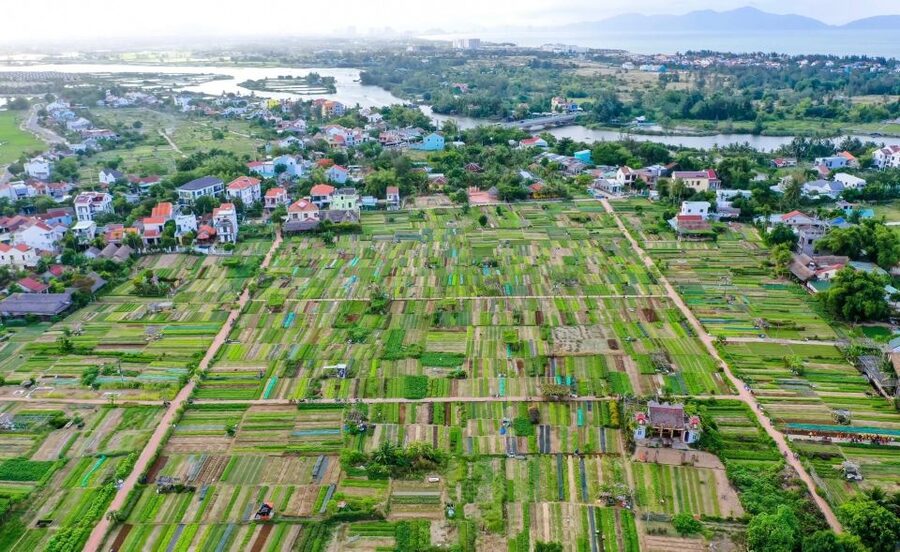 Hoi An: Rural Cycling Tour to Village with Basket Boat Ride - Is $27 Good Value?