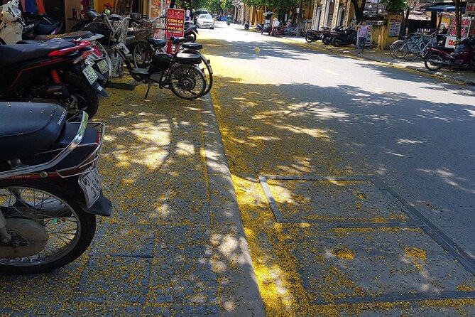 Hoi An town private walking tour with boat trip - Traditional dancing, games, and herbal tea