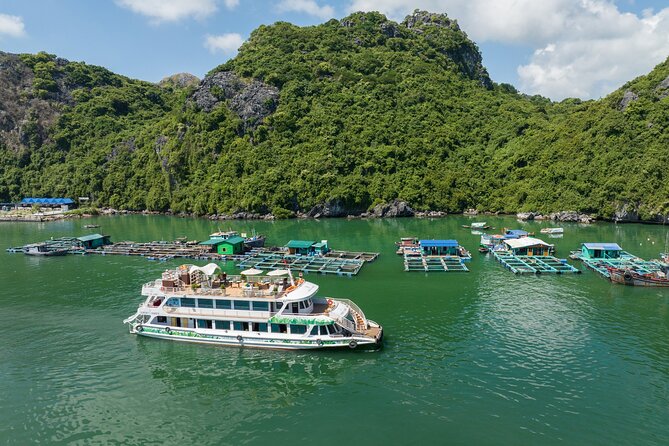 Lan Ha Bay full-day tour from Hanoi, Hai Phong - Serenity Cruises - Kayaking, swimming, jumping, and sliding