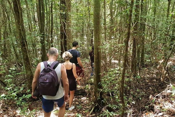 Land Tour 2: Discover the North - Kayaking & Starfish beach Phu Quoc (Not Lunch) - Kayaking the Cua Can River