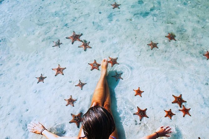 Land Tour 2: Discover the North - Kayaking & Starfish beach Phu Quoc (Not Lunch) - The optional bee farm and extra stops