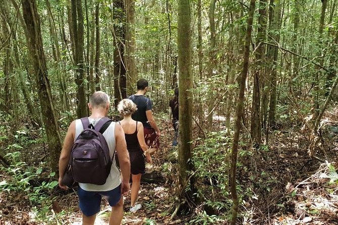 Land Tour 2: Discover the North - Kayaking & Starfish beach Phu Quoc (Not Lunch) - Guides, group size, and the human side of the day