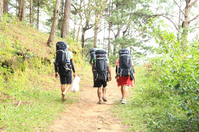 Langbiang Green Trekking Tours - Signature Trekking Da Lat - What the seven-hour Langbiang day is really like