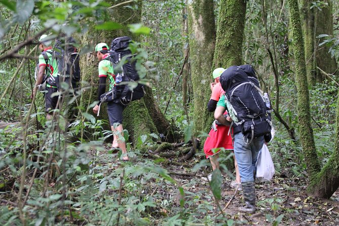 Langbiang Green Trekking Tours - Signature Trekking Da Lat - Pine forests, farms, and the first climb