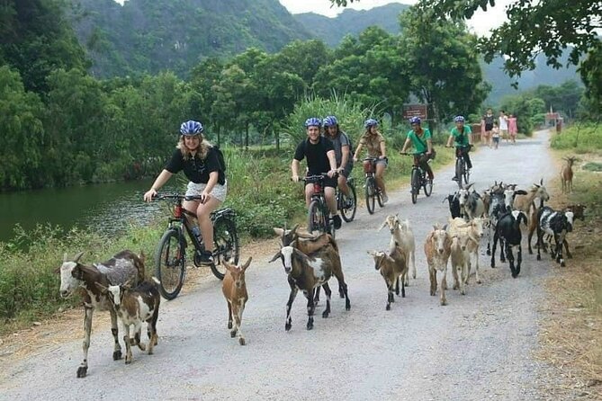 Luxury small Group Hoa Lu - Tam Coc - Mua Cave Max 6 - 8 pax/tour - Cycling through Ninh Binh’s rural lanes
