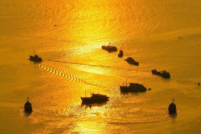 Magical Sunset and Evening with glowing plankton by Cat Ba Local - What bioluminescent plankton actually looks like