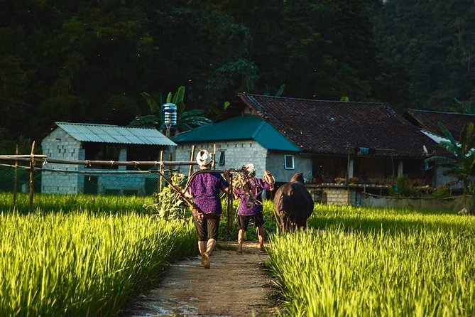 Majesty Of Untouched Northern Vietnam Tour 6 Days - Homestays, hotels, meals, and what is really included