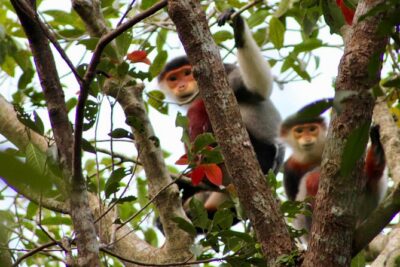 Marble Mountain, Monkey Mountain Peak, Lady Buddha PRIVATE TOUR