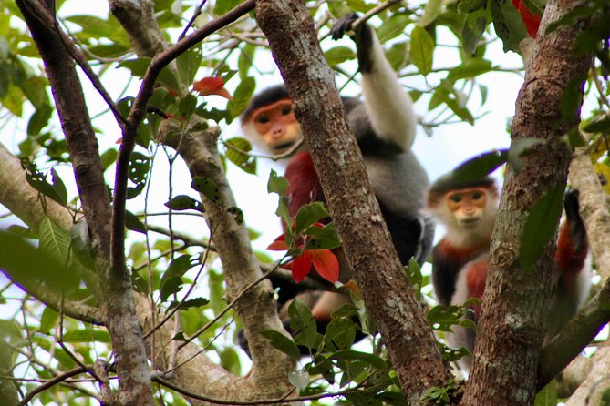 Marble Mountain, Monkey Mountain Peak, Lady Buddha PRIVATE TOUR - First stop: Am Phu Cave and Marble Mountain