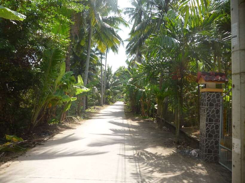 Mekong Day Tour by Car:Cai Be market, Local Island & Cycling - Leaving Ho Chi Minh City at 7:30 AM