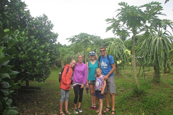 Mekong Delta and Cai Rang Floating Market 5-Hours Tour - Price, transport, and group size