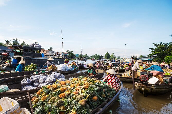 Mekong Delta & Cai Rang Floating Market 2-Day Tour from HCMC - The long road from Ho Chi Minh City to My Tho
