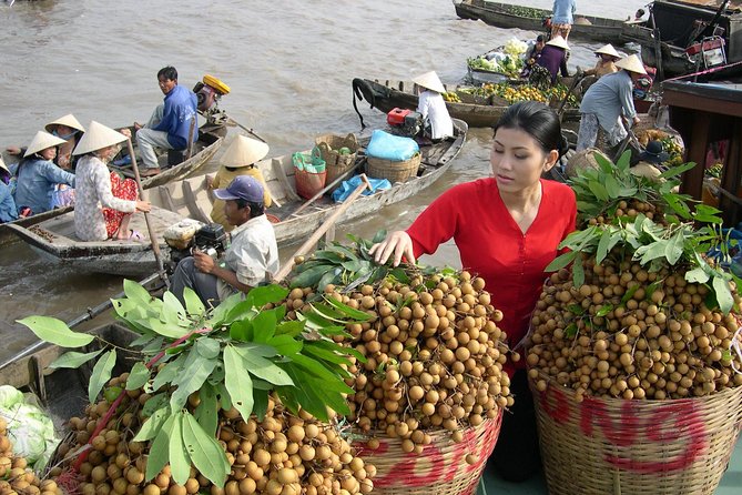 Mekong Delta in One Day Guided Sightseeing Tour - Timing, group size, and comfort