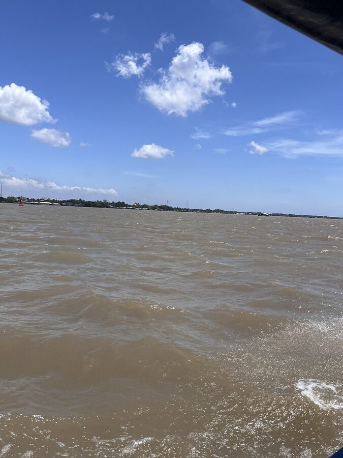 MeKong Delta Tour - The Main Ben Tre Program: Four Hours of Delta Life