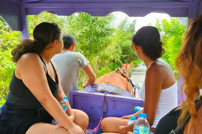Mekong Delta Tour Daily - Why this is an easy Mekong Delta day trip