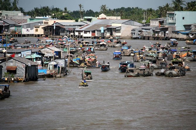 Mekong Delta Tour Full Day Cai Be-Vinh Long - Rice paddies, fruit, and the countryside between stops