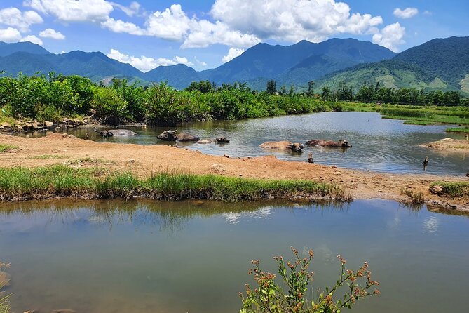 Motorbike Tour From Hue to Danang or Hoi An via Hai Van Pass - Why this Hue to Danang ride is worth your time