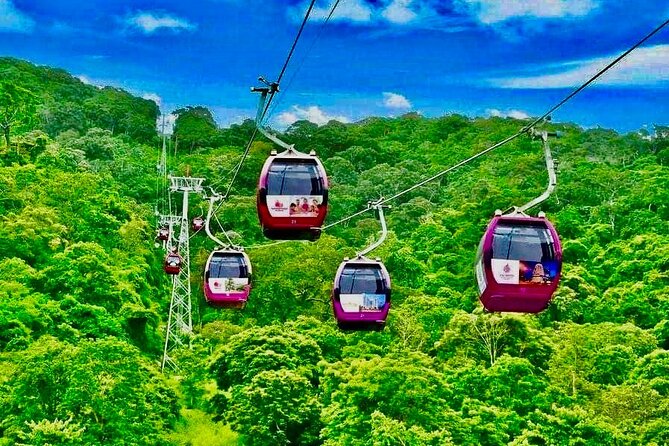 Mui Ne: Ta Cu Mountain Half A Day Private Tour with Local Guide - Van Thuy Tu Temple and the Whale Temple visit