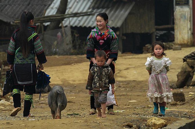 Muong Hoa Valley Trek & Homestay Experience - 4D3N - Starting at Sapa Church at 9 a.m.
