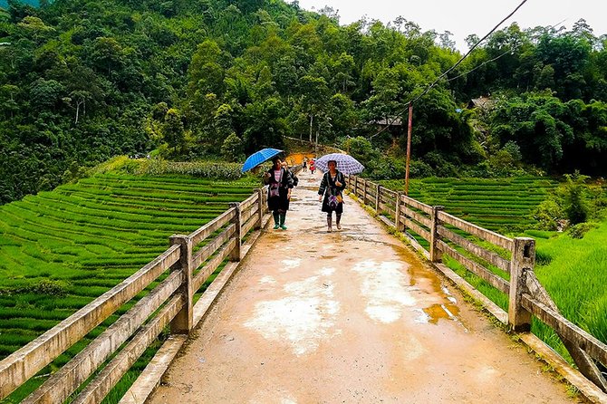 Muong Hoa Valley Trek & Homestay Experience - 4D3N - The Muong Hoa River on the final morning