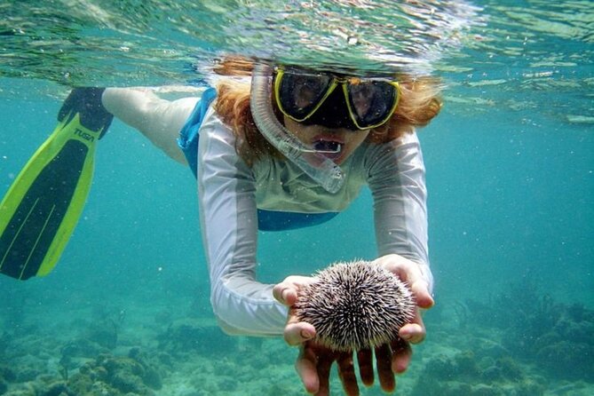 Nha Trang Bay: Explore Half-day Snorkeling at Coral Reef - Hon Mieu Island: the better place to use your gear