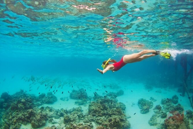 Nha Trang Bay: Explore Half-day Snorkeling at Coral Reef - Is $27.63 a good deal?
