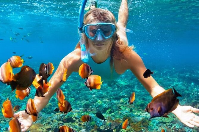 Nha Trang Bay: Explore Half-day Snorkeling at Coral Reef - Timing, meeting point, and group size
