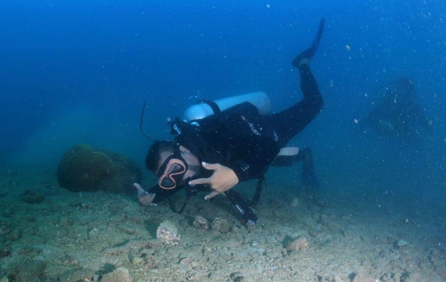 Nha Trang: Scuba Diving Experience for Non-Certified Divers - Key points before you book