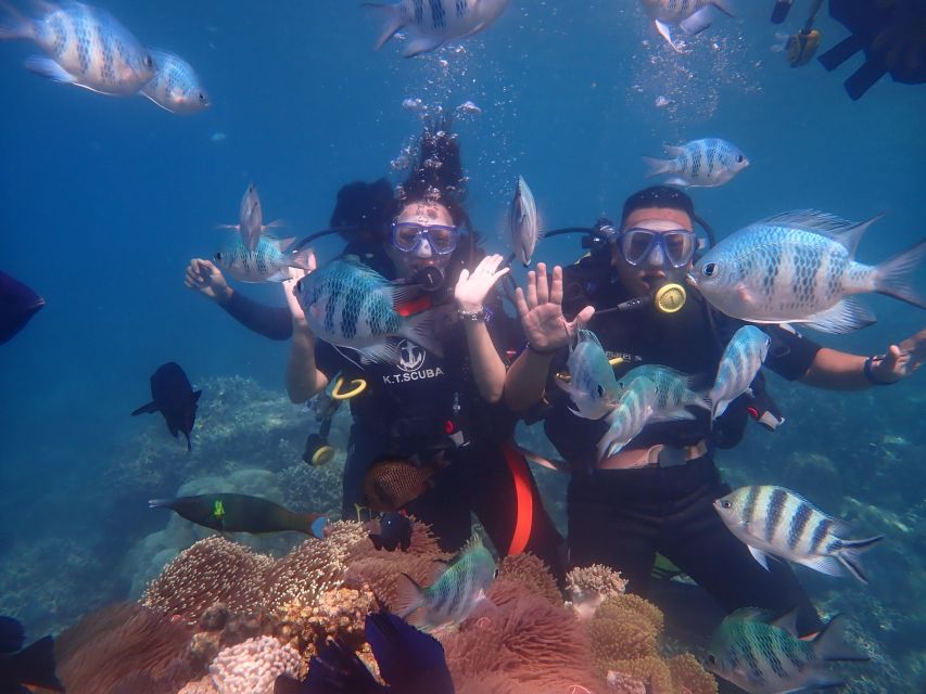 Nha Trang: Scuba Diving Experience for Non-Certified Divers - Morning pickup and the ride to the bay