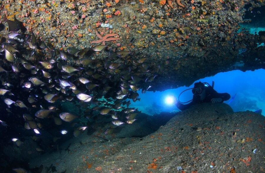 Nha Trang: Scuba Diving Experience for Non-Certified Divers - Lunch at a local fisherman base