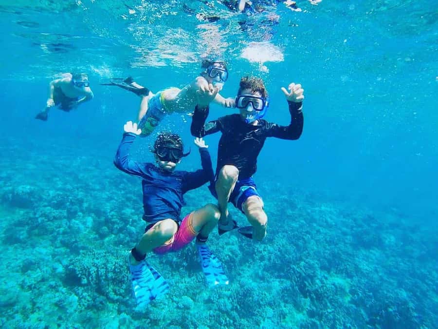 Nha Trang: Snorkeling Tour with BBQ Lunch at Coral Reef - Key points at a glance
