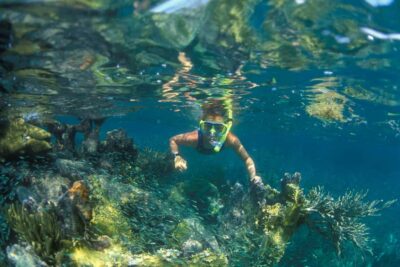 Snorkeling Tour with BBQ Lunch at Coral Reef