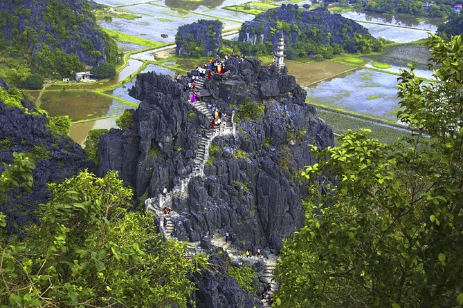 Ninh Binh 1 day Hoa lu Bai Dinh Trang an Mua Cave Small Group - Lunch, transport, and what the $55.01 covers