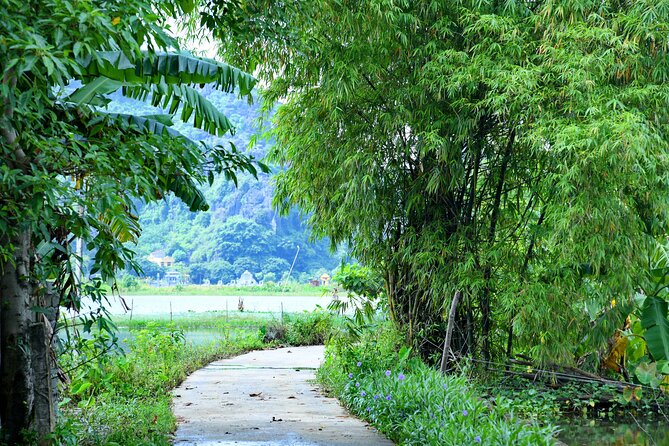 Ninh Binh 2 days 1 night Tour from Hanoi (Small Group of 9) - Mua Cave and the climb for a wide view