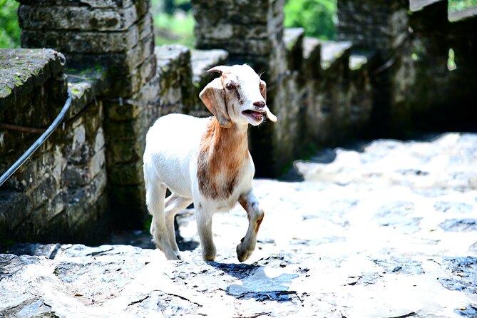 Ninh Binh 2 days 1 night Tour from Hanoi (Small Group of 9) - An overnight bungalow and four included meals