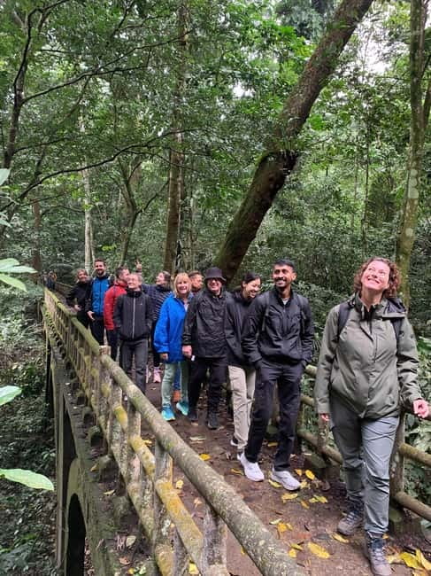 Ninh Binh: Cuc Phuong Jungle Hike & Wildlife Day Trip - The rainforest trek, limestone mountains, and Cay Cho tree