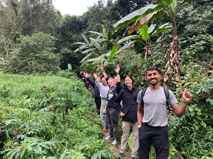 Ninh Binh: Cuc Phuong Jungle Hike & Wildlife Day Trip - What wildlife can you actually expect?