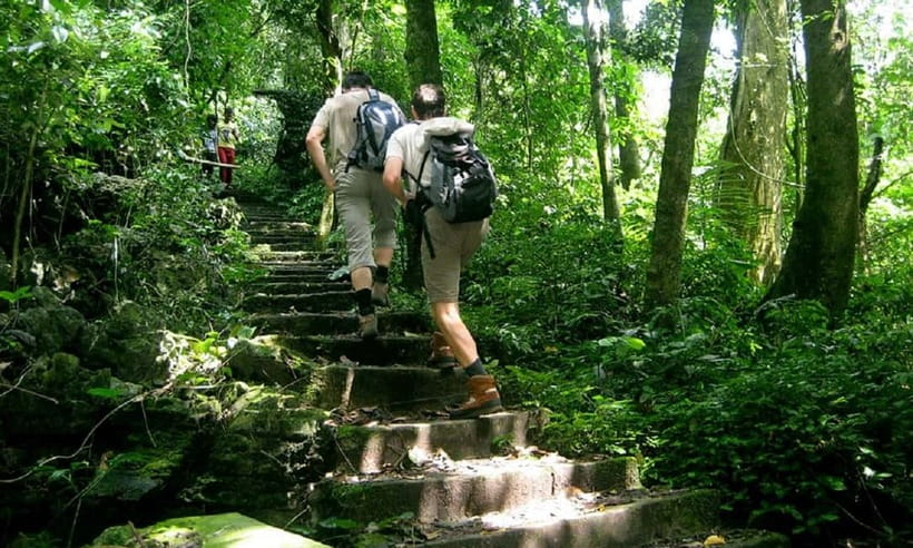Ninh Binh : Cuc Phuong National Park One Day Group Tour - A close look at the Endangered Primate Rescue center