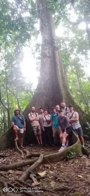 Ninh Binh : Cuc Phuong National Park One Day Group Tour - Two hikes to old trees
