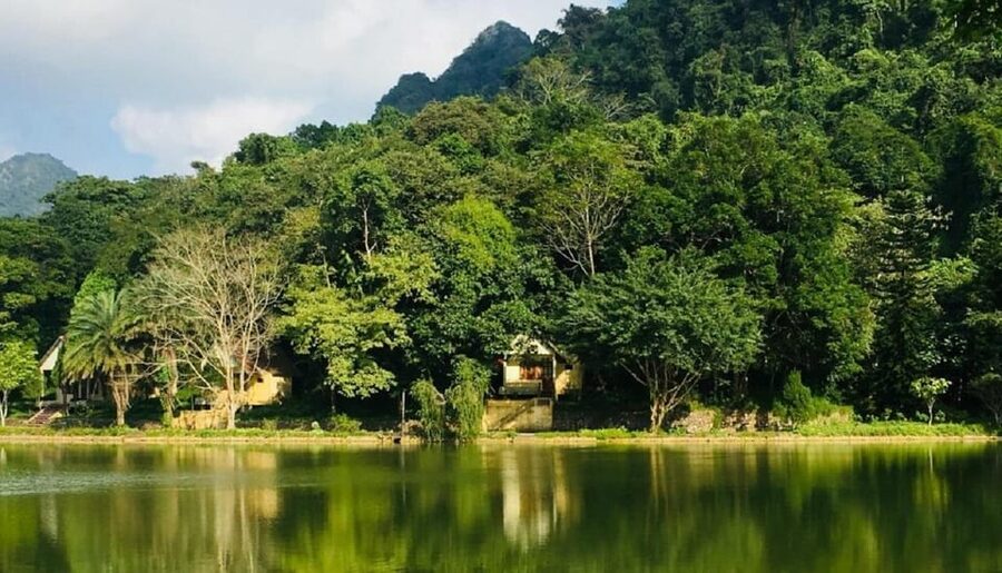 Ninh Binh : Cuc Phuong National Park One Day Group Tour - The Cave of Prehistoric Man