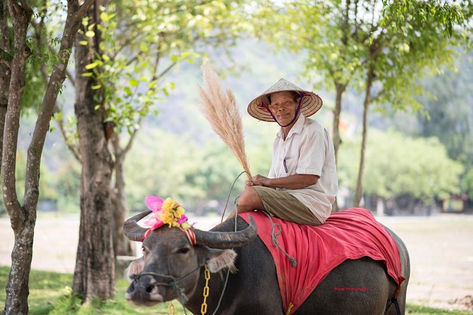 Ninh Binh Daily Tour: Hoa Lu - Tam Coc boat trip and Bike - What the $60 price really covers