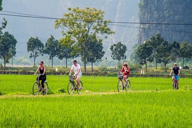 Ninh Binh Day Tour to Hoa Lu Trang An Mua Cave with Buffet Lunch - The guide, bus, and pace of the day