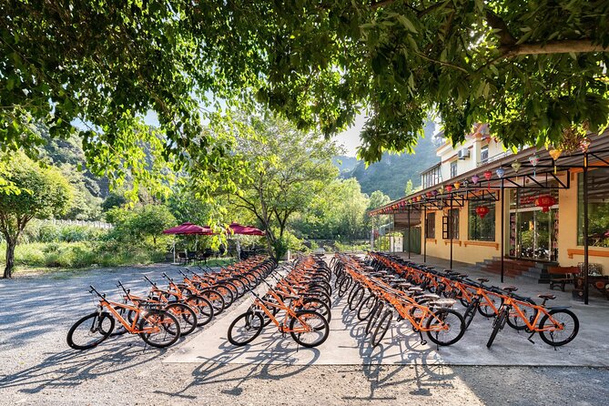 Ninh Binh Day Trip: Bai Dinh-Trang An-Mua Cave, Buffet, Boat, Bus - Buffet lunch between the main sights