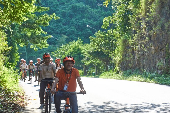 Ninh Binh Day Trip: Hoa Lu-Trang An/Tam Coc-Mua Cave-Cycling-Boat - Mua Cave and the 500-step climb