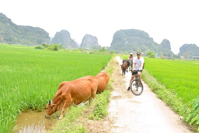 Ninh Binh Full-Day Small Group of 9 Guided Tour from Hanoi - What the guide adds to the day