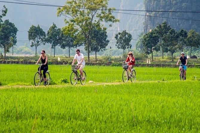 Ninh Binh Full Day Tour to Hoa Lu Tam Coc Mua Cave Buffet Lunch - Mua Cave and the 500-step climb to Lying Dragon Mountain