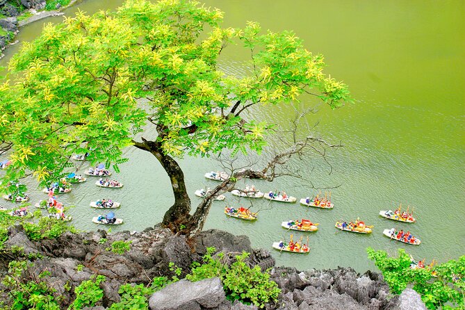Ninh Binh Full Day Tour with Hoa Lu, Trang An and Mua Cave - Mua Cave and the 500-step climb